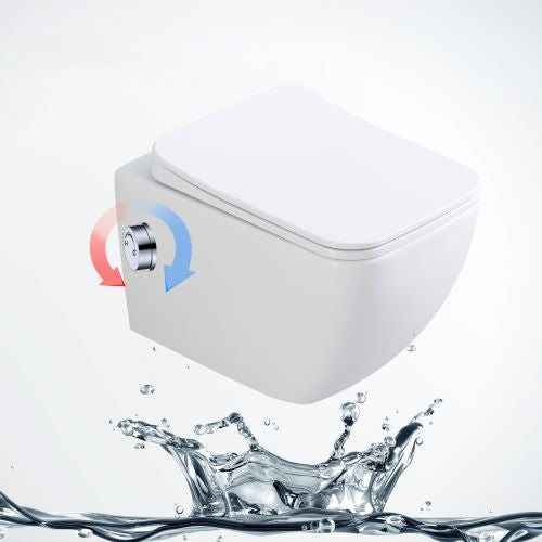 CRYSTAL- (Square) Built in Thermostatic Bidet Mixer